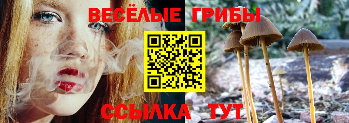 Кимовск  Псилоцибиновые грибы Cubensis  Вход с VPN 