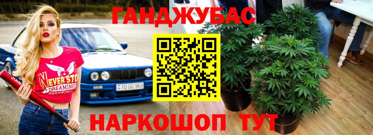 Шишки марихуана марихуана Кимовск